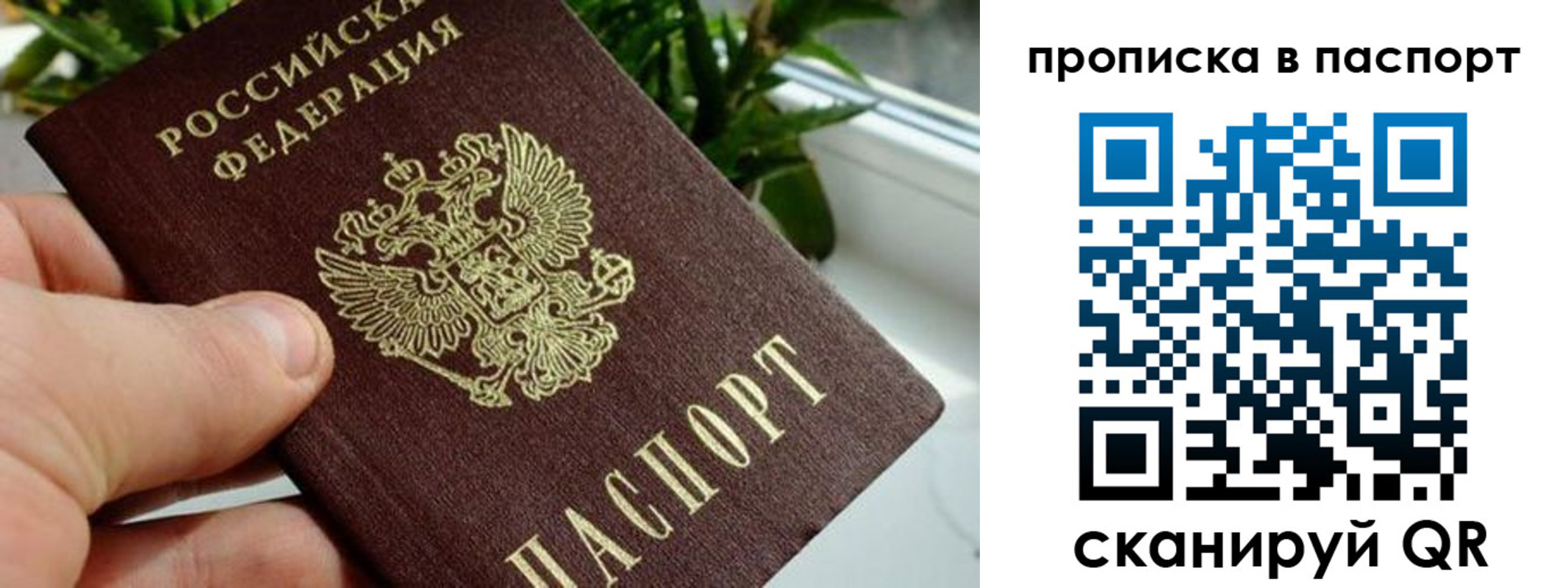 пропишу в квартире в Светлом